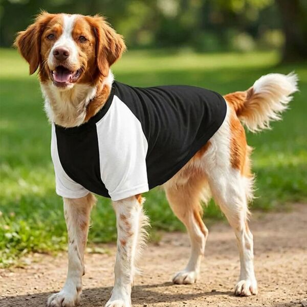 Dog’s raglan t-shirt Thumbnail